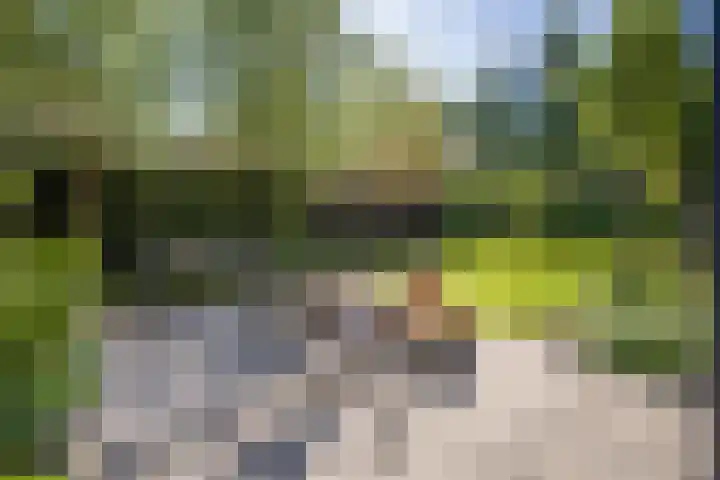 Pimentweg 3 Utrecht thumbnail 17