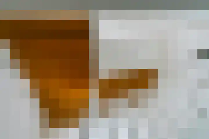 Pimentweg 3 Utrecht thumbnail 18