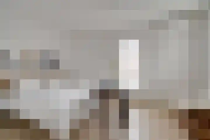 Pimentweg 3 Utrecht thumbnail 22