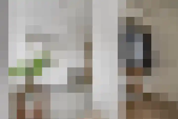 Pimentweg 3 Utrecht thumbnail 24
