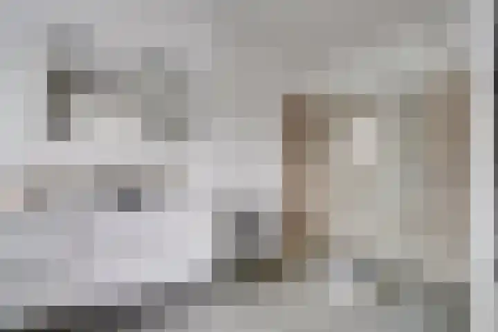 Pimentweg 3 Utrecht thumbnail 25