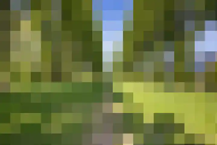 Pimentweg 3 Utrecht thumbnail 33