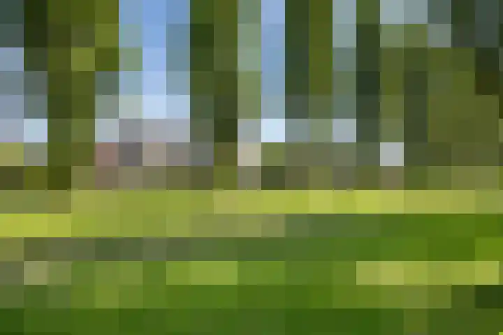Pimentweg 3 Utrecht thumbnail 34