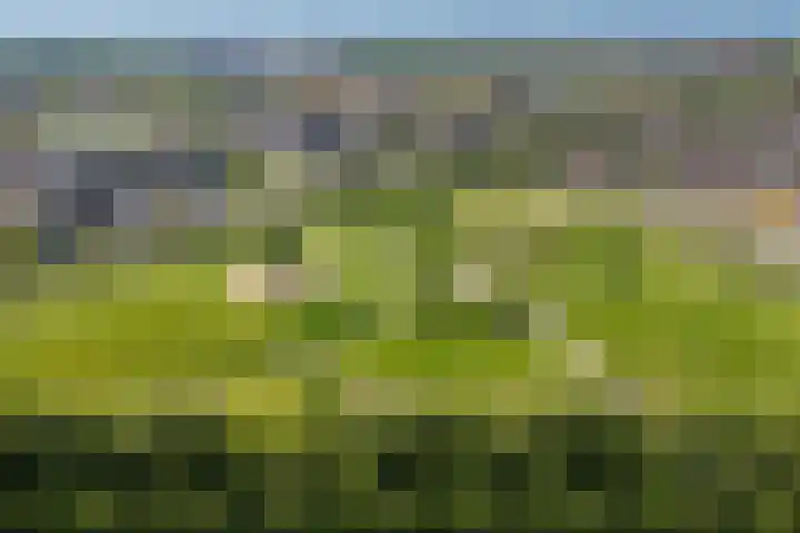 Pimentweg 3 Utrecht thumbnail 35