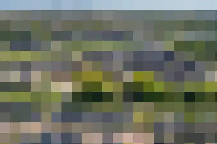 Pimentweg 3 Utrecht thumbnail 36