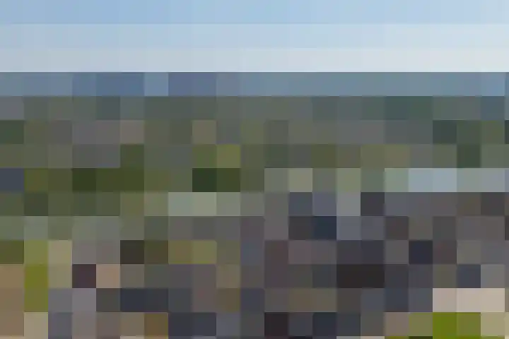 Pimentweg 3 Utrecht thumbnail 37
