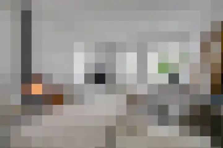 Pimentweg 3 Utrecht thumbnail 4