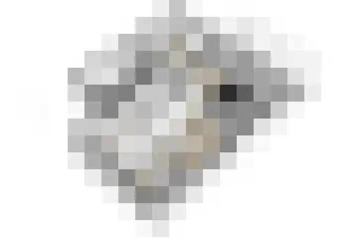 Pimentweg 3 Utrecht thumbnail 40