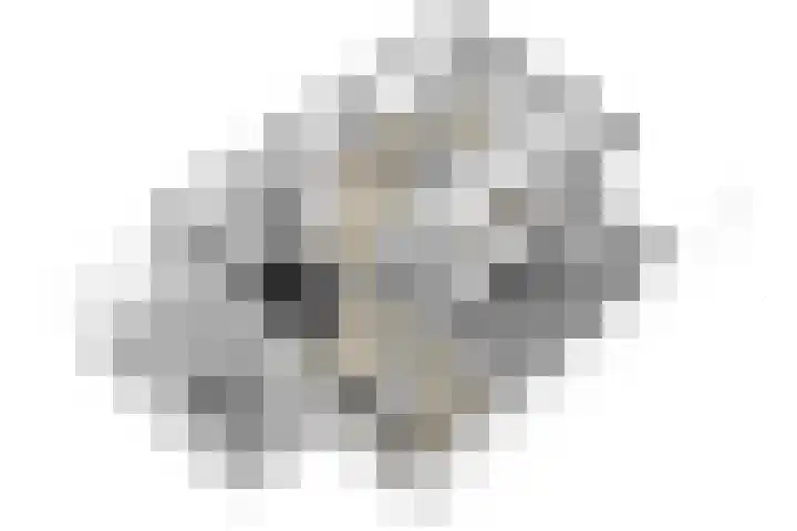 Pimentweg 3 Utrecht thumbnail 41