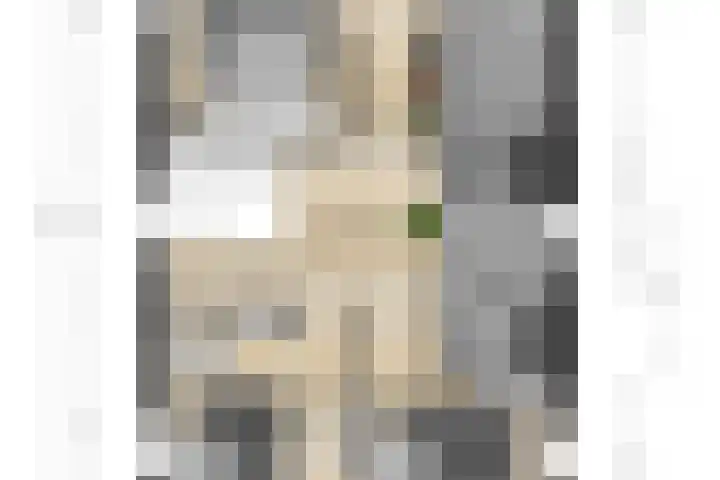 Pimentweg 3 Utrecht thumbnail 43