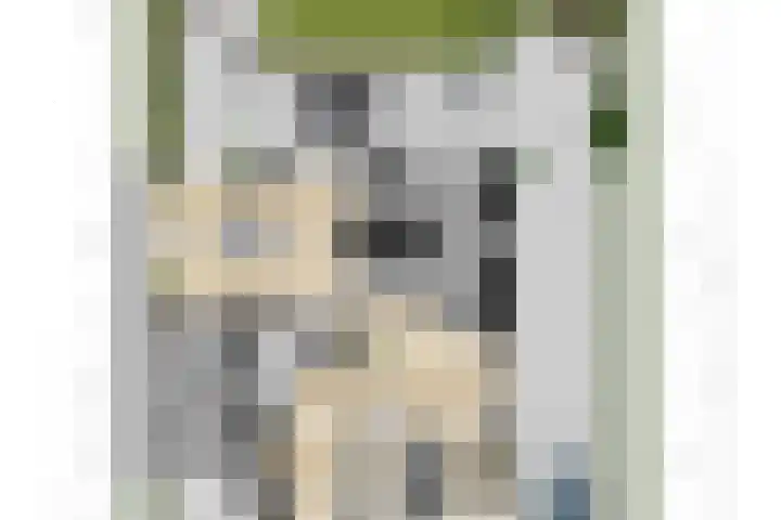 Pimentweg 3 Utrecht thumbnail 51