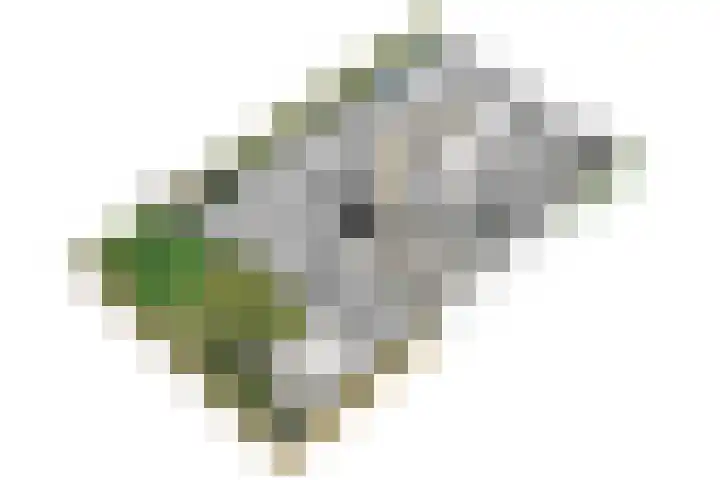 Pimentweg 3 Utrecht thumbnail 52