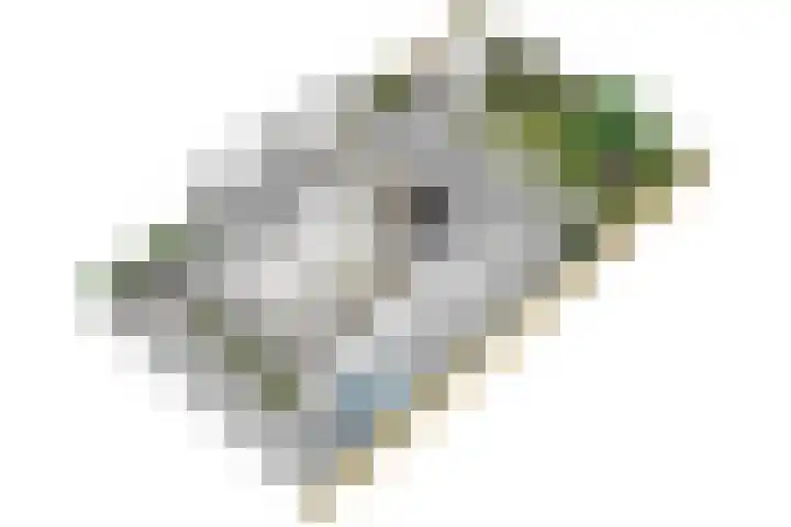 Pimentweg 3 Utrecht thumbnail 53