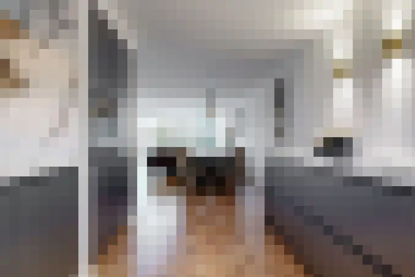 Pimpelmees 10 Uithoorn thumbnail 11