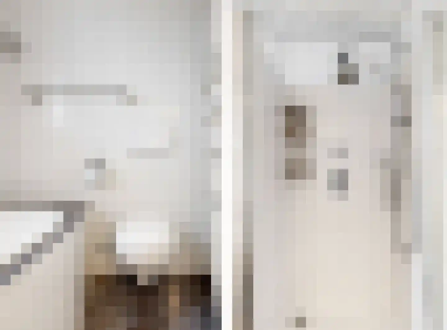 Pimpelmees 10 Uithoorn thumbnail 20