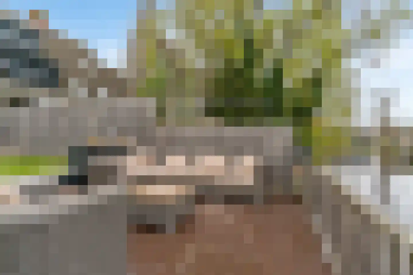 Pimpelmees 10 Uithoorn thumbnail 28