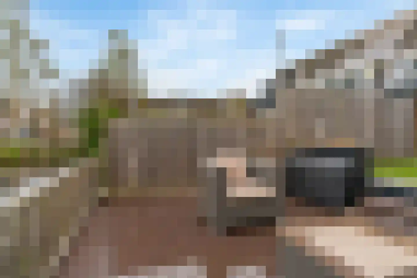 Pimpelmees 10 Uithoorn thumbnail 29