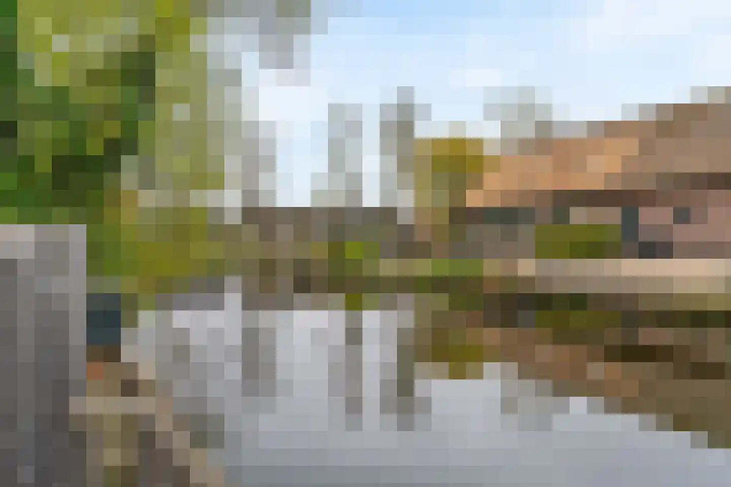Pimpelmees 10 Uithoorn thumbnail 30