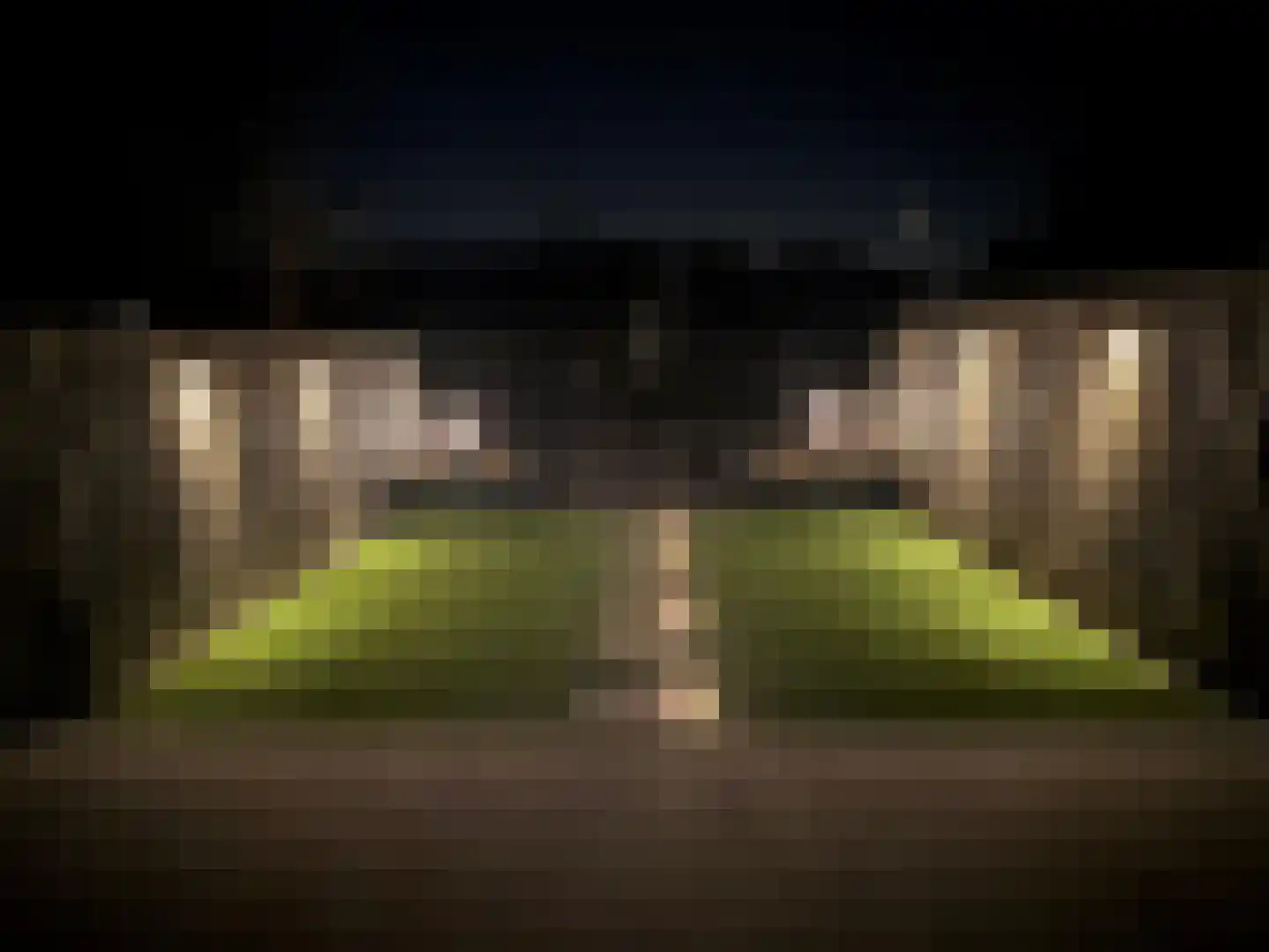 Pimpelmees 10 Uithoorn thumbnail 31