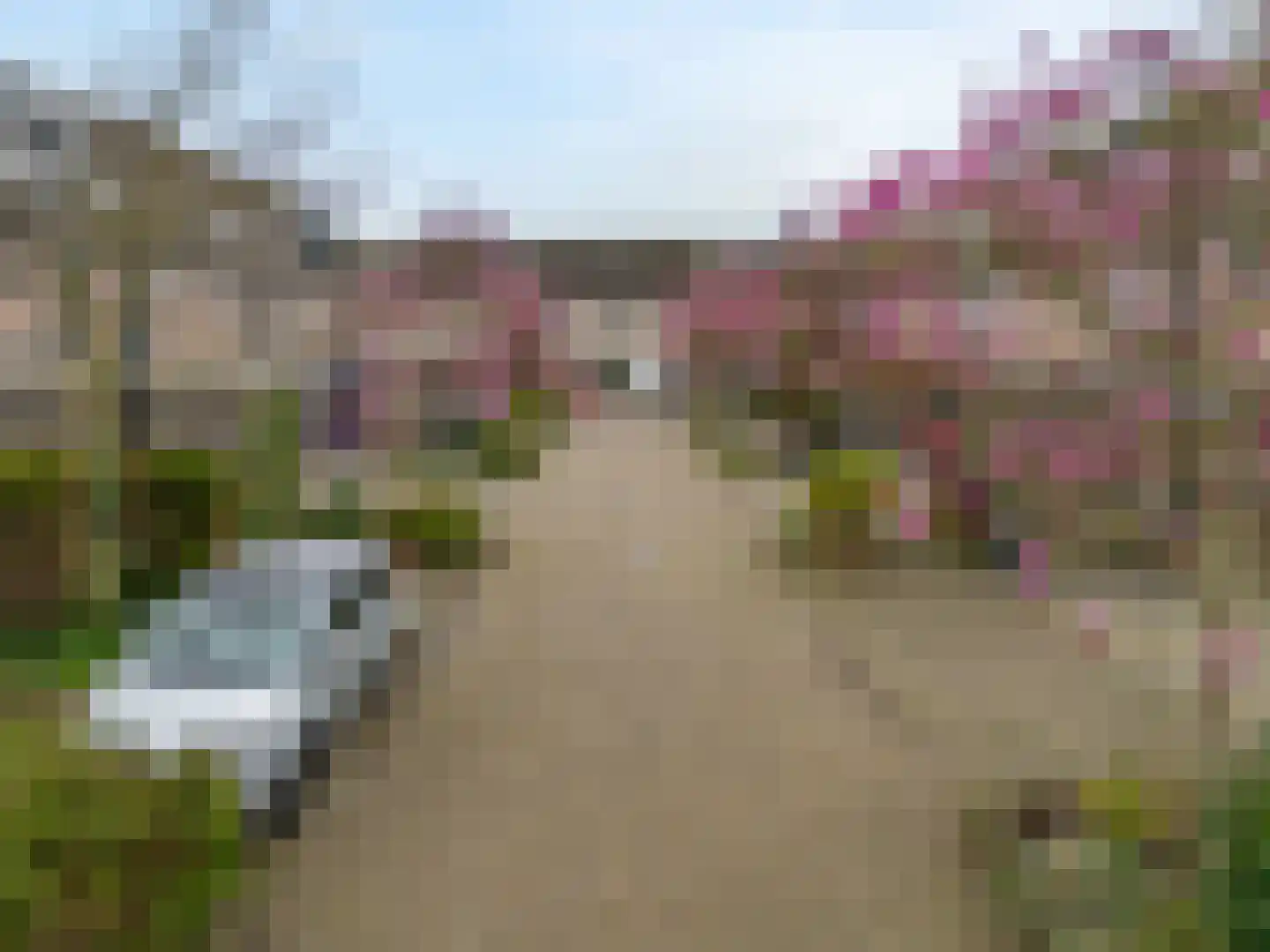 Pimpelmees 10 Uithoorn thumbnail 32