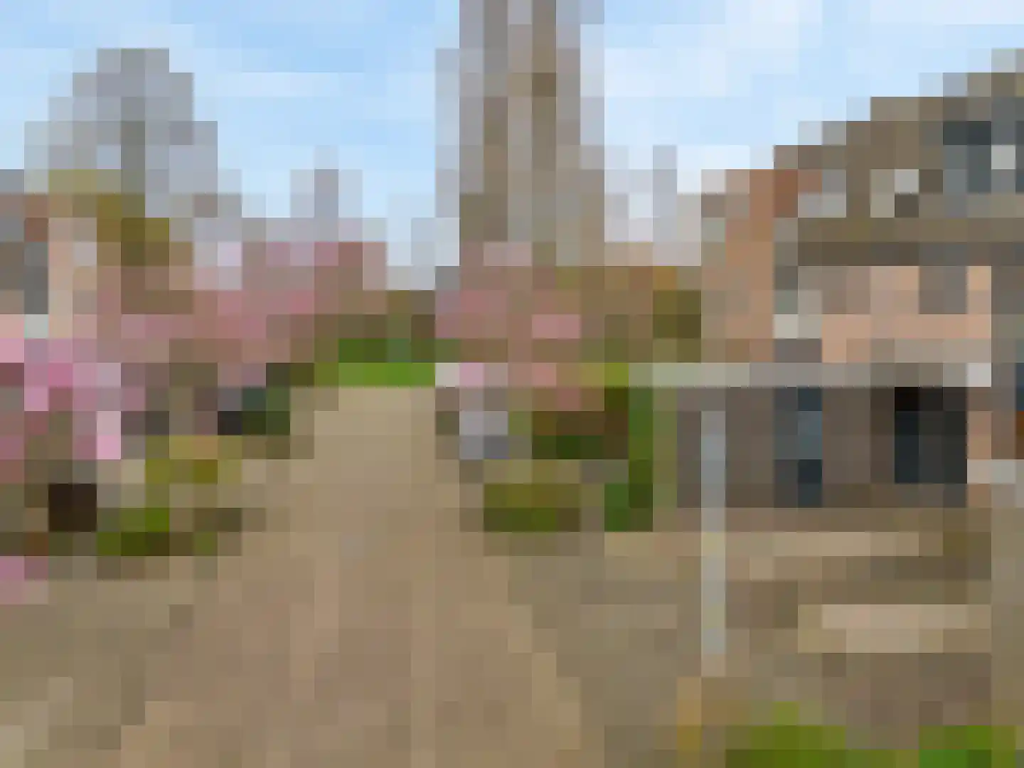 Pimpelmees 10 Uithoorn thumbnail 33