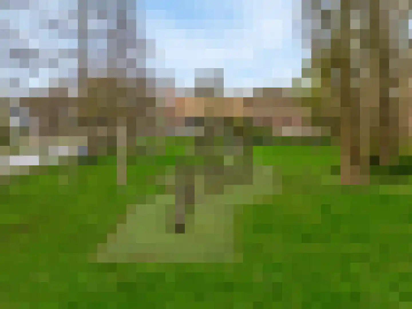 Pimpelmees 10 Uithoorn thumbnail 34