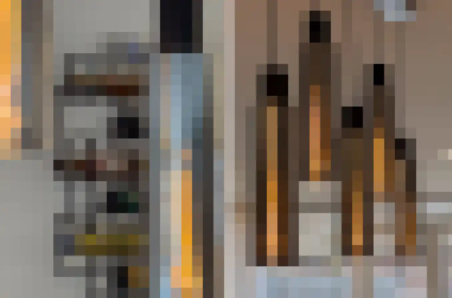 Pimpelmees 10 Uithoorn thumbnail 9