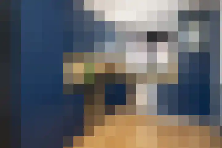 Pimpelmees 15 Sommelsdijk thumbnail 10
