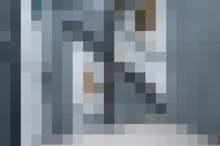 Pimpelmees 15 Sommelsdijk thumbnail 11