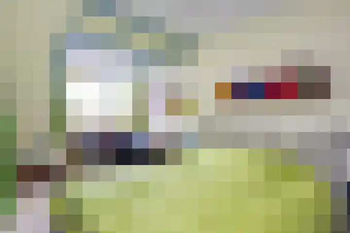 Pimpelmees 15 Sommelsdijk thumbnail 12