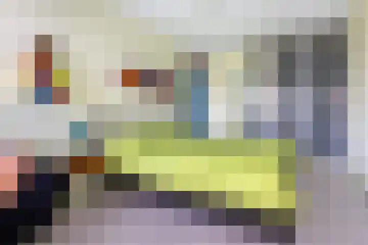 Pimpelmees 15 Sommelsdijk thumbnail 13
