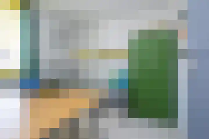 Pimpelmees 15 Sommelsdijk thumbnail 14