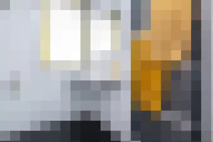 Pimpelmees 15 Sommelsdijk thumbnail 16