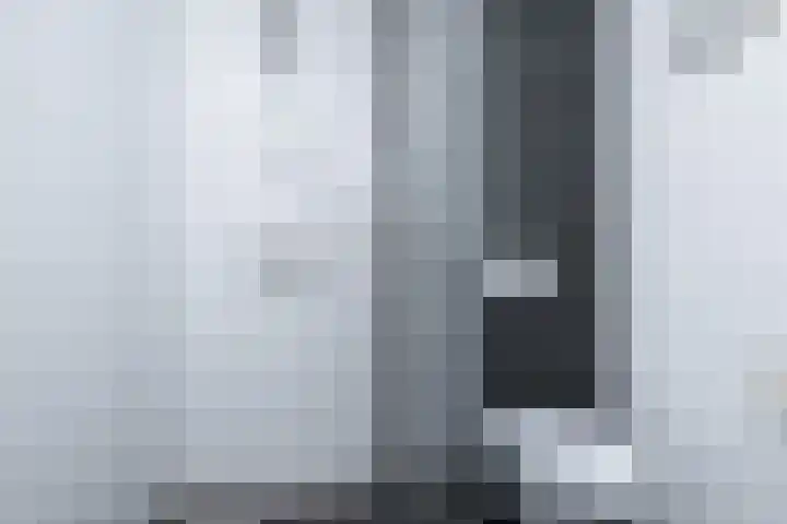 Pimpelmees 15 Sommelsdijk thumbnail 17