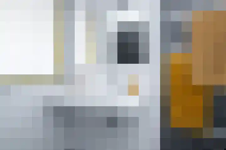 Pimpelmees 15 Sommelsdijk thumbnail 18