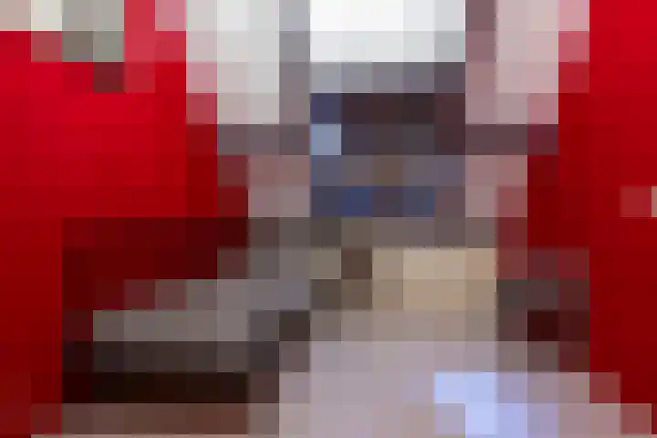 Pimpelmees 15 Sommelsdijk thumbnail 19