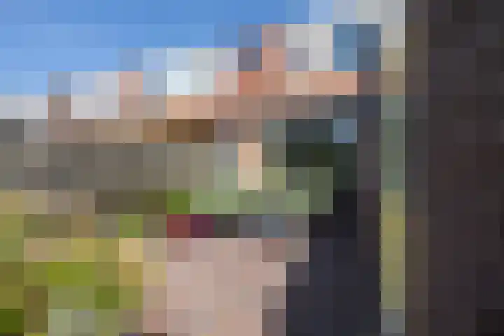 Pimpelmees 15 Sommelsdijk foto 2