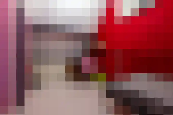 Pimpelmees 15 Sommelsdijk thumbnail 20