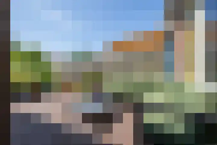 Pimpelmees 15 Sommelsdijk thumbnail 21