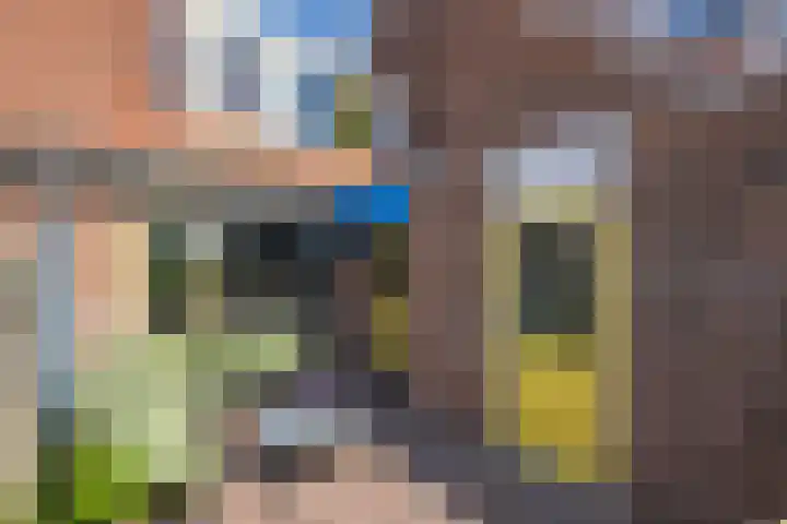 Pimpelmees 15 Sommelsdijk thumbnail 22