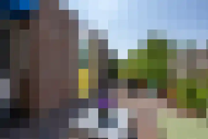 Pimpelmees 15 Sommelsdijk thumbnail 23