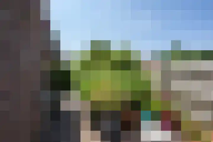Pimpelmees 15 Sommelsdijk thumbnail 24
