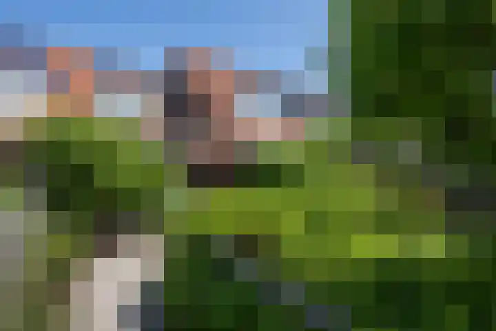 Pimpelmees 15 Sommelsdijk thumbnail 25