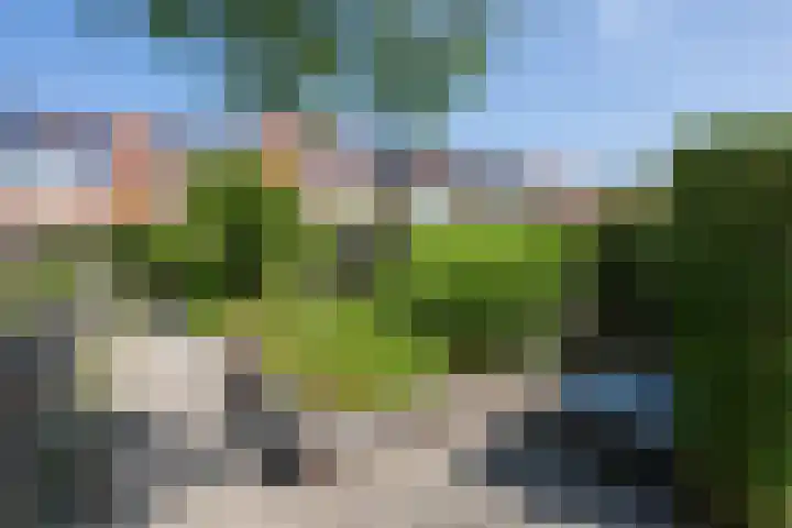 Pimpelmees 15 Sommelsdijk thumbnail 26