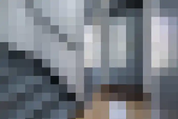 Pimpelmees 15 Sommelsdijk thumbnail 4