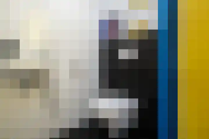 Pimpelmees 15 Sommelsdijk thumbnail 5