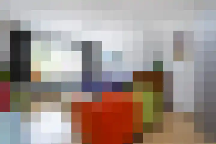 Pimpelmees 15 Sommelsdijk thumbnail 6