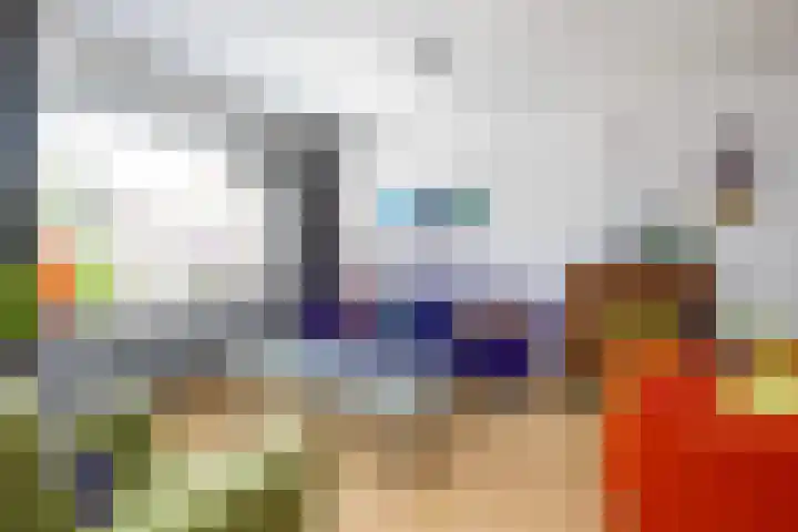 Pimpelmees 15 Sommelsdijk thumbnail 7