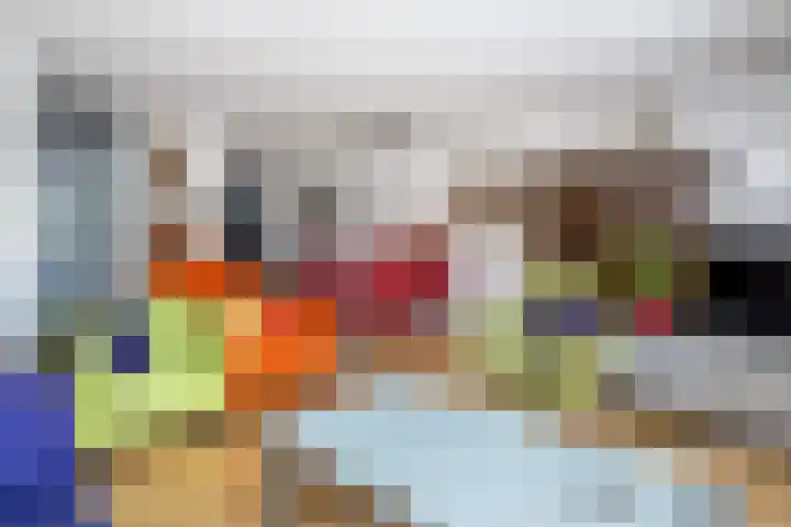 Pimpelmees 15 Sommelsdijk thumbnail 8