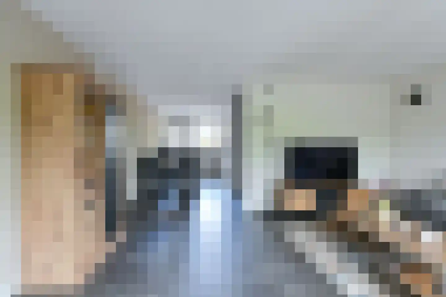 Pimpelmees 16 Emmen thumbnail 11